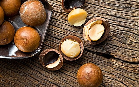 Macadamia nut - លក្ខណៈសម្បត្តិដែលមានប្រយោជន៍ដែលវាលូតលាស់និងអ្វីដែលវាមាន