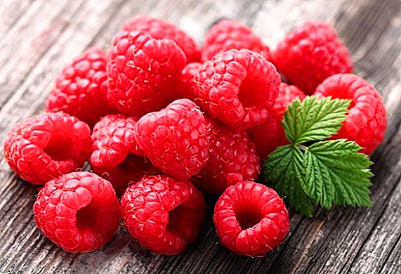 Raspberries maka Siberia: oyi-hardy iche