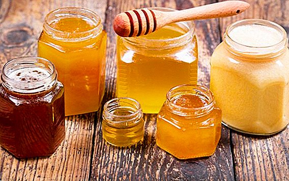 Honey: nga ajo që ndihmon si ilaç