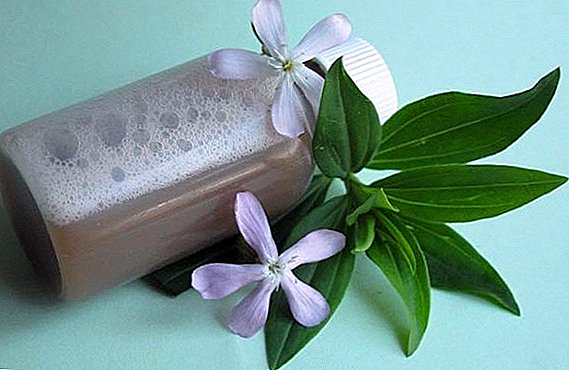 Mylnyanka: শিকড় এবং herbs উপকারী বৈশিষ্ট্য
