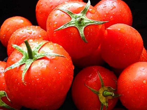 Moitas e de gran calidade: variedades de tomate con alto rendemento
