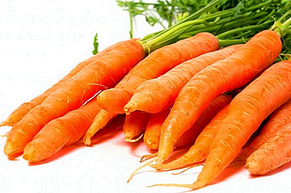 गाजर उत्पादनाचा लाभ, हानी आणि गुणधर्म