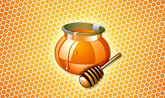 Apa bisa mangan madu ing honeycombs, carane njaluk madu saka honeycombs ing ngarep