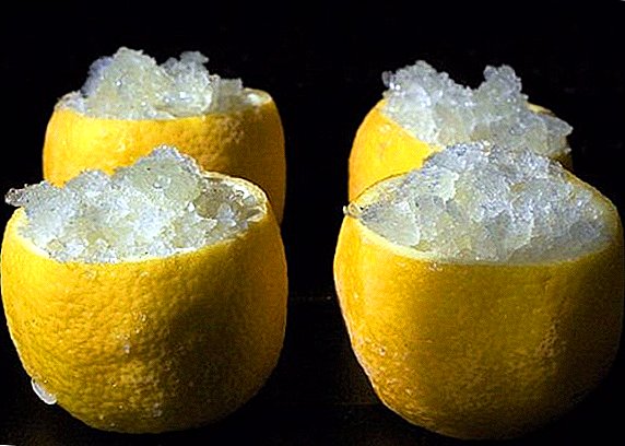 A është e mundur ngrirja e limonave në frigorifer