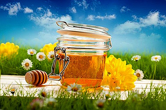 Honey daga ganye: duk game da zuma, kayan warkarwa, contraindications