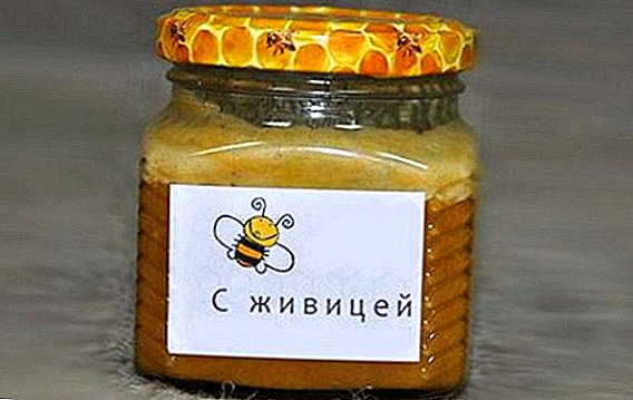 Gum honey: çawa bikin, taybetmendiyên derman, bikaranîn