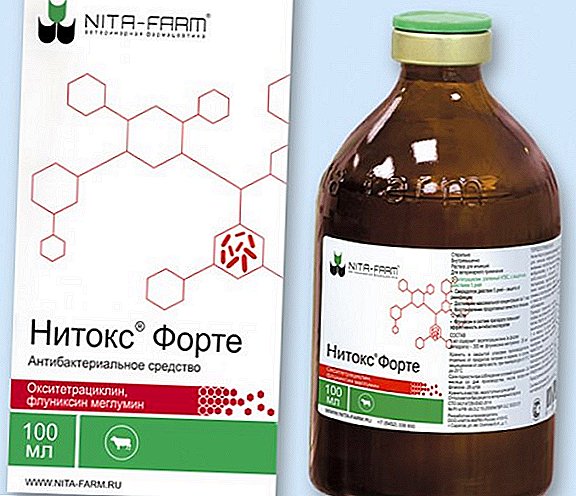 "Nitoks Forte": indikasies vir gebruik en farmakologiese eienskappe van die geneesmiddel