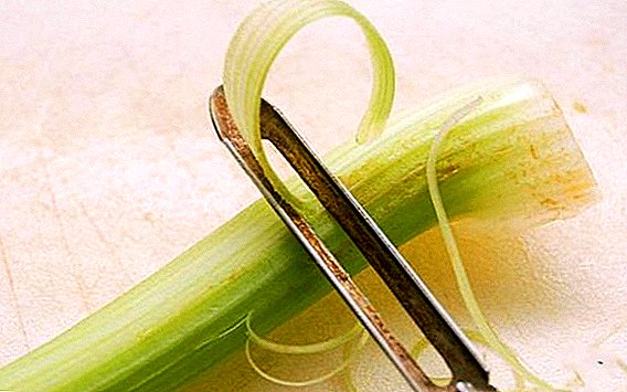Ĉu celerio devas esti purigita antaŭ konsumado?