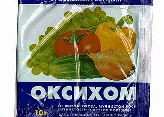 "Oxyhom": প্রশস্ত বর্ণালী ড্রাগ ব্যবহারের জন্য নির্দেশাবলী