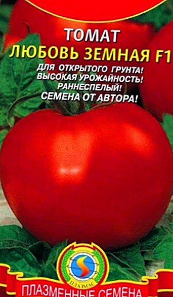 Përshkrimi dhe kultivimi i domates "Dashuria tokësore" për terren të hapur