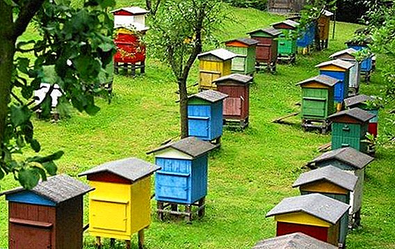 टीएसबीओच्या पद्धतीनुसार मधमाशींची काळजी घेण्यासाठी तंत्रज्ञानाची मुख्य तरतूद