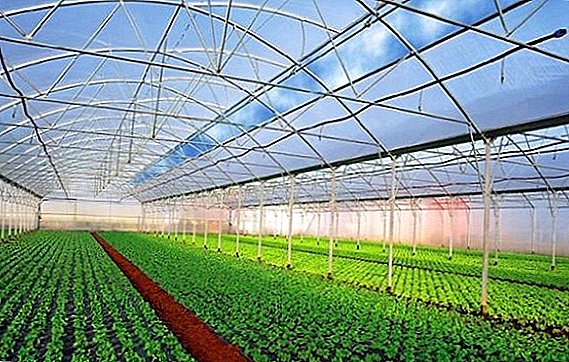 Features da halaye na masana'antu greenhouses
