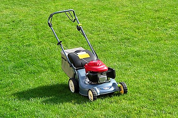 Features lawn mower lawn mowing: tips da dabaru