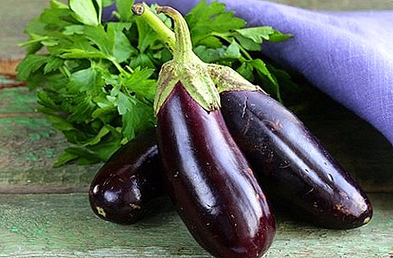 በመሬቱ ላይ ከተሳለፉ በኋላ ማዳበሪያ (eggplant) ይጠቀማሉ