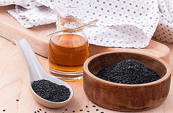 Karakteristike upotrebe ulja crnog kima sa pankreatitisom