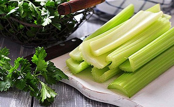 Akụkụ nke iji celery na pancreatitis