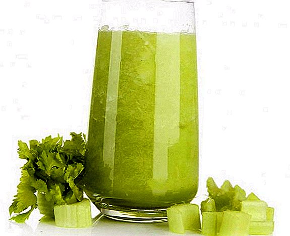 Značajke upotrebe soka od celera