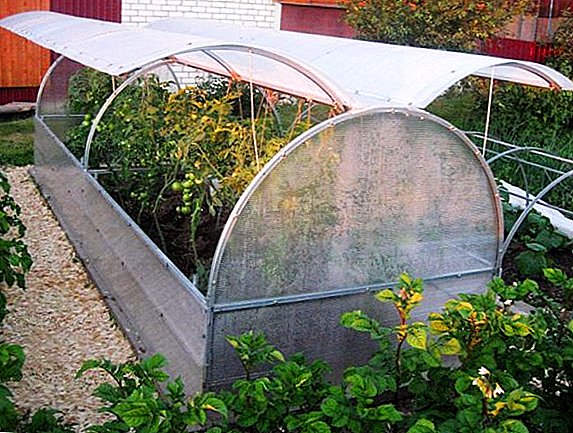 Mga gamit sa pag-instalar sa greenhouse "butterfly" sa site
