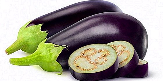 លក្ខណៈពិសេសដែលប្រមូលផល eggplant សម្រាប់រដូវរងារ: របៀបត្រជាក់បន្លែនៅផ្ទះ