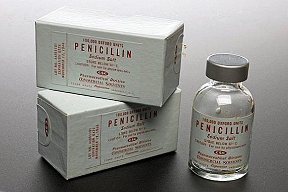 Penicillin ar gyfer cwningod: ble i bigo, sut i fridio a rhoi