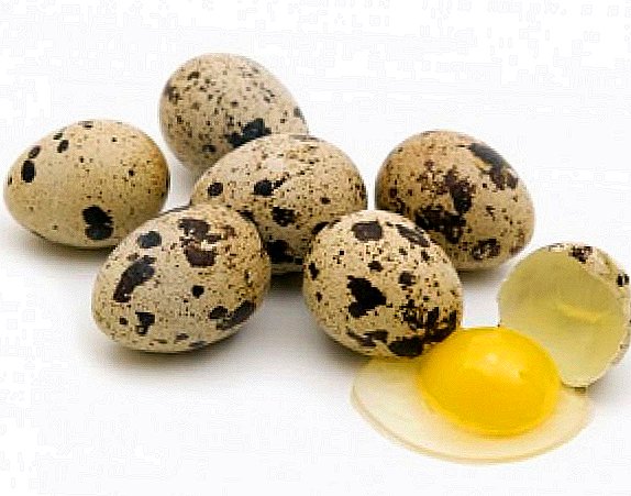 Kwaal eiers: Wat is die waardigheid en die skade?