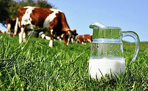 Densidade do leite: norma, métodos de determinación, táboa