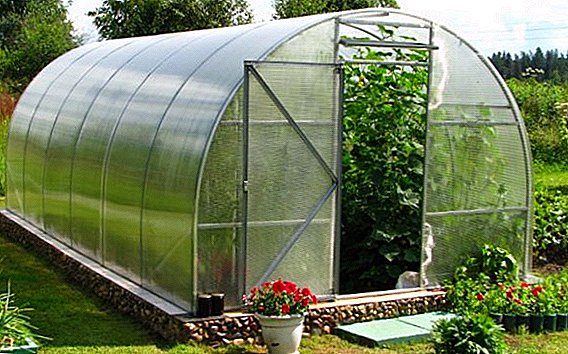 Mga kauswagan ug kahasol sa lainlaing matang sa pundasyon alang sa usa ka polycarbonate greenhouse