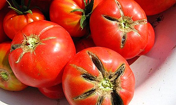 Firwat gi Tomaten am Land?