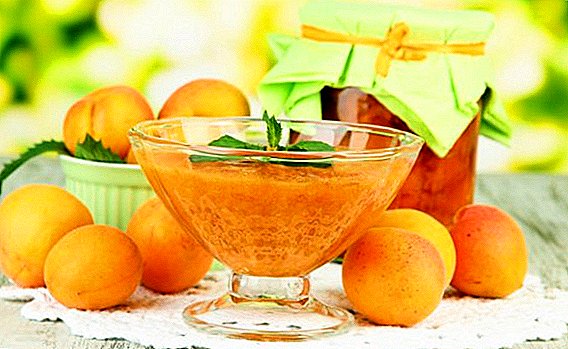 A pilihan resep pikeun Panén apricots for teu usum