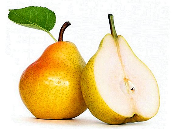 A pamilih resep pikeun Panén pears for teu usum