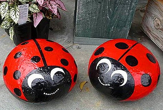 የጌጣጌጥ ስራዎች ለጓሮው-እንዴት ladybug (ፎቶ)