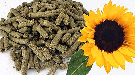 Sunflower хоол: тодорхойлолт болон хэрэглээ