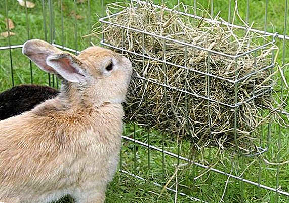 Ние купуваме или подготвуваме сено за зајаци