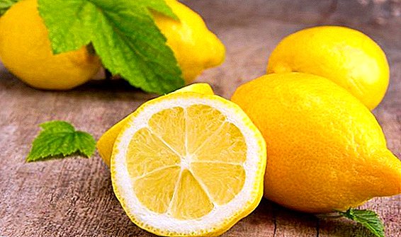 Utilaj kaj danĝeraj propraĵoj de citrono