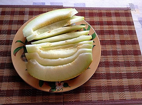 Proper properties of melon: Bikaranîna derman û çermên kevneşopî bikar bînin