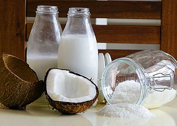 As propiedades beneficiosas do leite de coco