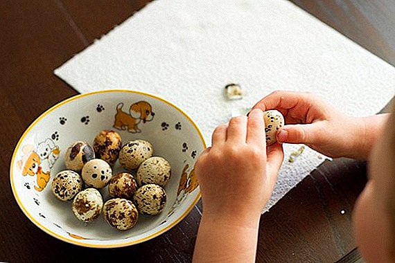 بچوں کے لئے کوئلہ انڈے کے فوائد اور نقصان