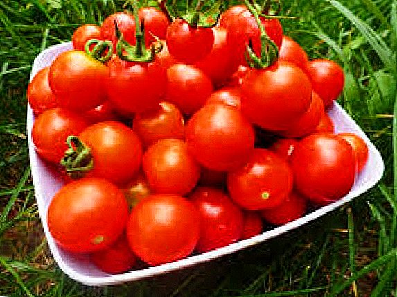 Ang usa ka tomato usa ka berry, prutas o utanon; nasabtan nato ang kalibog.