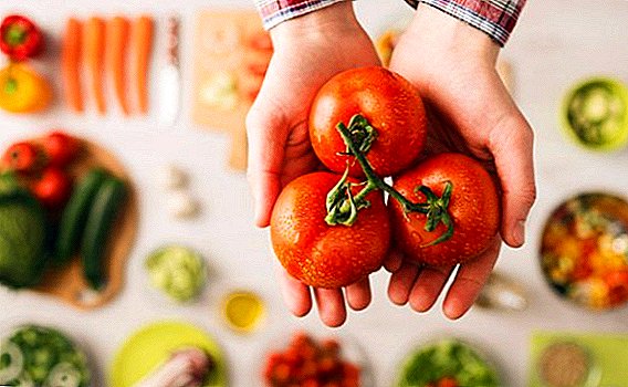 ٹماٹر: ایک مقبول مصنوعات کے فوائد اور نقصان