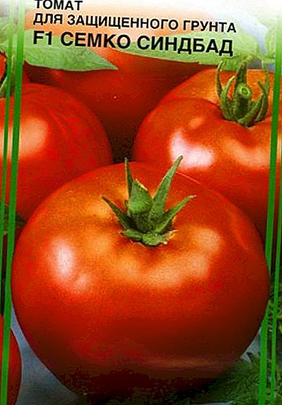 Tomato "Semko-Sinbad"