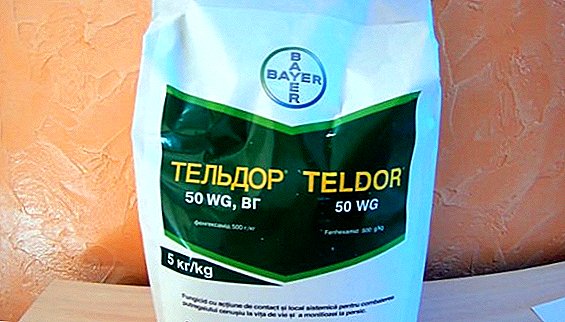 Sethethefatsi "Teldor": tlhaloso ea fungicide, litaelo