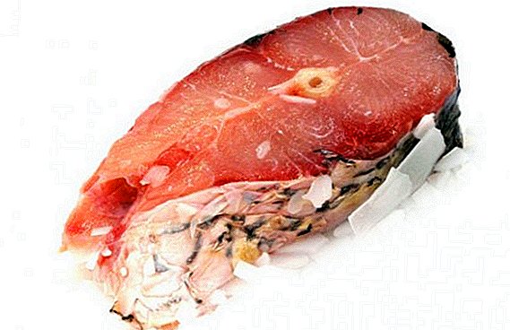 گھاس کی کارپ کی تیاری: مچھلی کی فائدہ مند خصوصیات