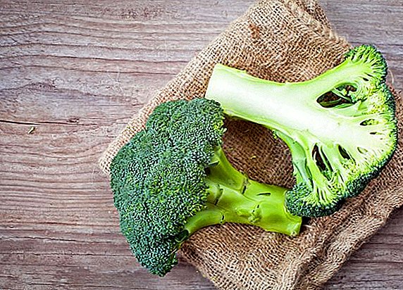 Pamakéan sareng pamakéan brokoli, manfaat sareng cilaka