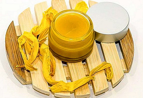 Pamakéan lilin dina tatamba tradisional sareng kosmetologi: manfaat sareng cilaka