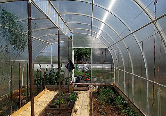 Ang proseso ng paggawa ng greenhouses mula sa polycarbonate gawin ito sa iyong sarili