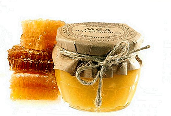 Propolisi me mjaltë: çfarë është e dobishme, çfarë trajton, si të bëhet, ku ta ruani