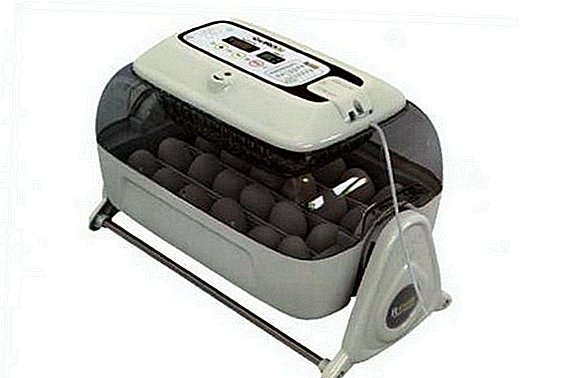 R-Com King Suro20 yumurtası üçün avtomatik inkubatorun nəzəriyyəsi