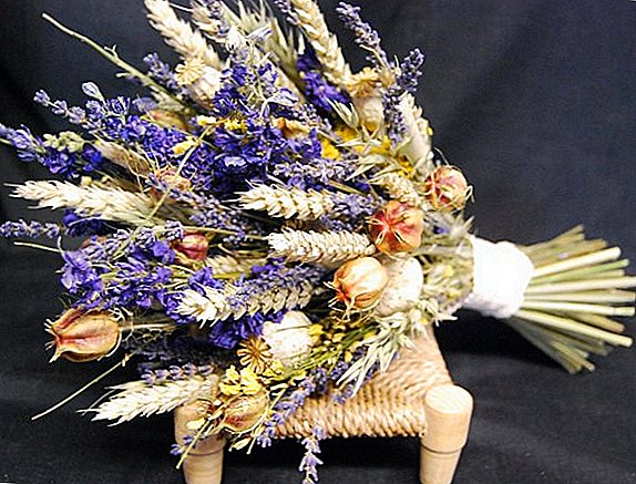 Kembang garing pikeun Bouquet usum tiis