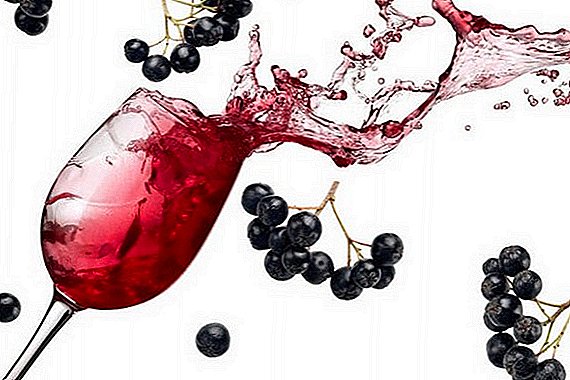 دستور العمل برای شراب chokeberry سیاه و سفید خانگی