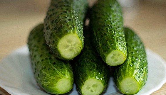 Ohunelo fun crispy salted cucumbers ni ile (ni pọn)